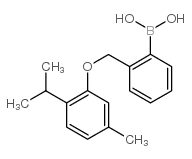 2-[(2-Isopropyl-5-methylphenoxy)methyl]phenylboronic Acid