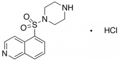 1-(5-Isoquinolinesulfonyl)piperazine Hydrochloride