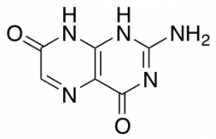 Isoxanthopterin