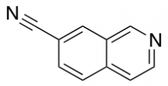 Isoquinoline-7-carbonitrile