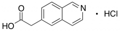 Isoquinolin-6-yl-acetic Acid Hydrochloride