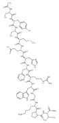 alpha-Melanocyte stimulating hormone