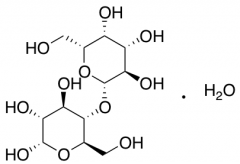Lactose Monohydrate
