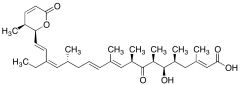 Leptomycin B