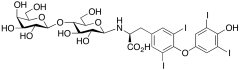 Levothyroxine Lactose Adduct