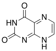 Lumazine