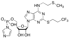 N-​[2-​(methylthio)​ethyl]​-​2-​[(3,​3,​3-​trifluoropropyl)​thio]​-​