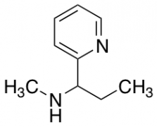 N-methyl-1-pyridin-2-ylpropan-1-amine