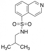 N-(2-Methylpropyl)isoquinoline-5-sulfonamide