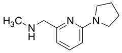 N-methyl-N-[(6-pyrrolidin-1-ylpyridin-2-yl)methyl]amine