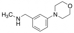 N-methyl-N-(3-morpholin-4-ylbenzyl)amine