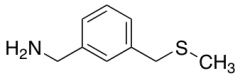 {3-[(methylsulfanyl)methyl]phenyl}methanamine