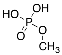 Monomethyl Phosphate