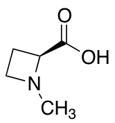 (S)-1-Methylazetidine-2-carboxylic Acid