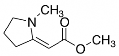 Methyl 2-(1-Methyl-2-pyrrolidylidene)acetate