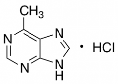 6-Methyl-9H-purine Hydrochloride