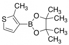 2-Methylthiophene-3-boronic Acid Pinacol Ester