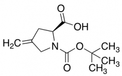 1-tert-Butyl Ester (S)-4-Methylene-pyrrolidine-1,2-dicarboxylic acid