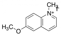 6-Methoxy-1-Methylquinolinium Iodide