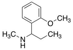 [1-(2-Methoxyphenyl)propyl](methyl)amine