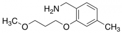 [2-(3-methoxypropoxy)-4-methylphenyl]methanamine