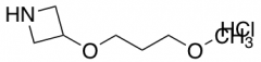 3-(3-methoxypropoxy)azetidine hydrochloride