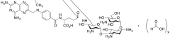 Methotrexyl Tobramycin Amide Formate