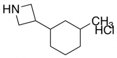 3-(3-methylcyclohexyl)azetidine hydrochloride