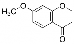 7-Methoxychroman-4-one