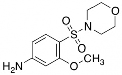 3-Methoxy-4-(morpholine-4-sulfonyl)-phenylamine