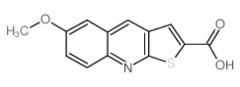 6-Methoxy-thieno[2,3-b]quinoline-2-carboxylic acid