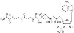 Methylacrylyl-CoA