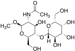 Methyl N-Acetyllactosaminide