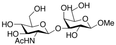 Methyl 3-O-(N-Acetyl-&beta;-D-glucosaminyl)-&beta;-D-galactopyranoside