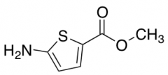 Methyl 5-Aminothiophene-2-carboxylate