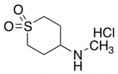 4-(methylamino)-1lambda6-thiane-1,1-dione hydrochloride