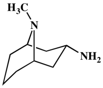 endo-9-Methyl-9-azabicyclo[3.3.1]nonan-3-amine