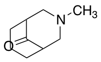 3-Methyl-3-aza-bicyclo3.3.1nonan-9-one