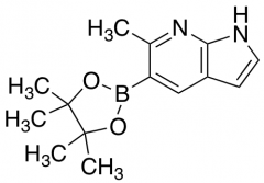 6-Methyl-7-azaindole-5-boronic acid pinacol ester