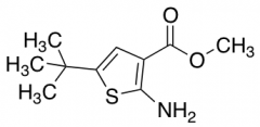 methyl 2-amino-5-tert-butylthiophene-3-carboxylate