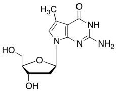 7-Methyl-7-deaza-2&rsquo;-deoxyguanosine