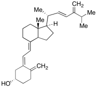 24-Methylene Vitamin D2