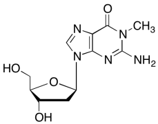 N1-Methyl-2&rsquo;-deoxyguanosine