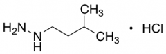 (3-Methylbutyl)hydrazine Hydrochloride