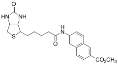 Methyl N-Biotinyl-6-amino-2-naphthonate