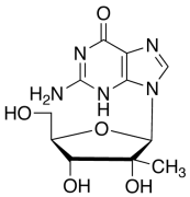 2&rsquo;-C-&beta;-Methyl Guanosine