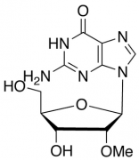 2'-O-Methyl Guanosine