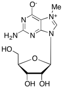 7-Methylguanosine