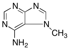 7-Methyl-7H-purin-6-amine