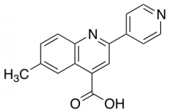 6-Methyl-2-pyridin-4-ylquinoline-4-carboxylic Acid